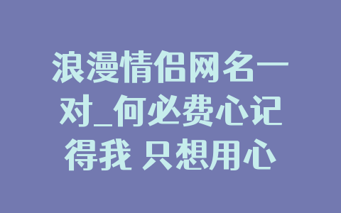 浪漫情侣网名一对_何必费心记得我 只想用心记得你