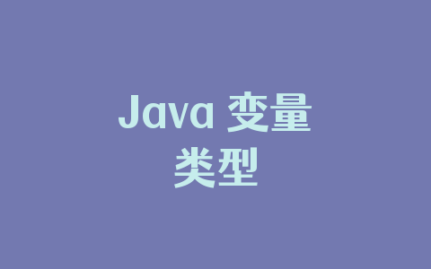 Java 变量类型