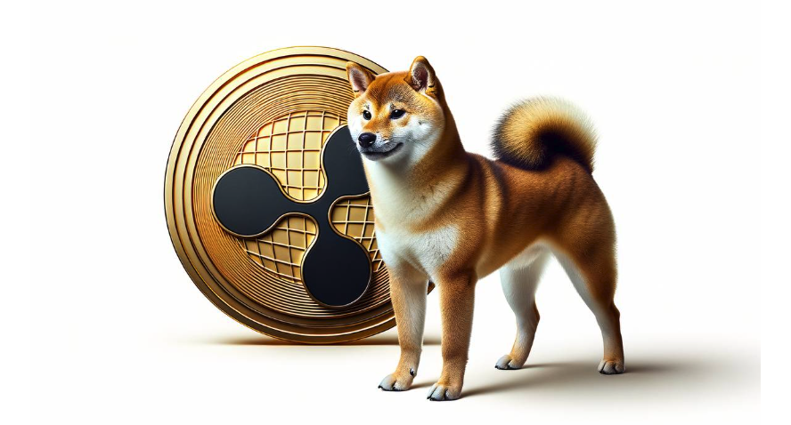 67ac56a048623796 数字货币交易app排行榜前10名2025年最新