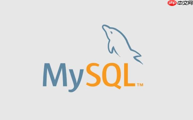 176208330252767 如何在mysql中安装mysql server