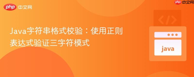 176215692644134 Java字符串格式校验:使用正则表达式验证三字符模式
