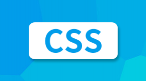 CSS Reset 样式重置的实现示例-偶像资源网