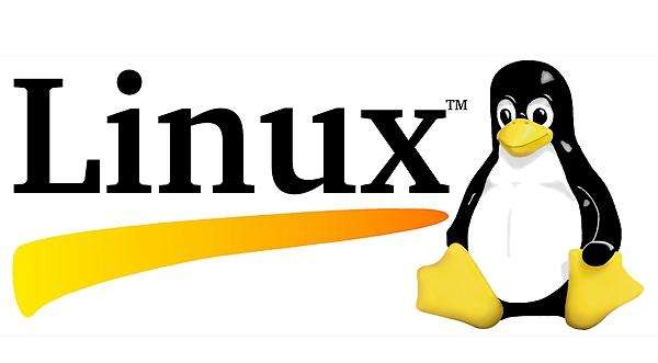 什么是Linux? 服务器运维使用Linux需要学什么?-偶像资源网