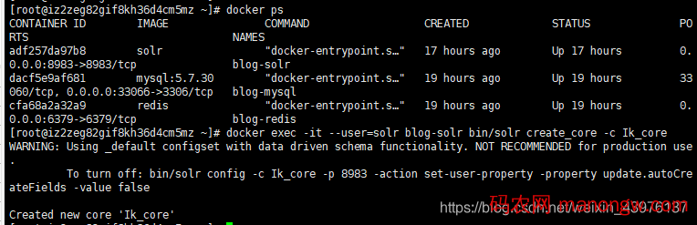 docker 安装solr8.6.2 配置中文分词器的方法-偶像资源网