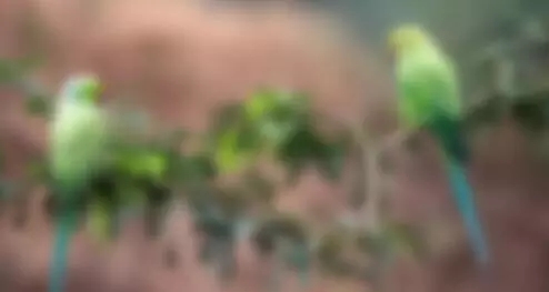 CSS实现雨滴动画效果的实例代码-偶像资源网