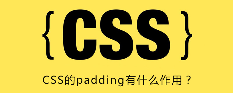 CSS的padding有什么作用？-偶像资源网