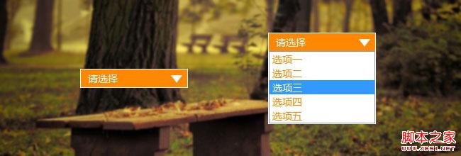 CSS自定义select下拉选择框的样式(不用其他标签模拟)-偶像资源网