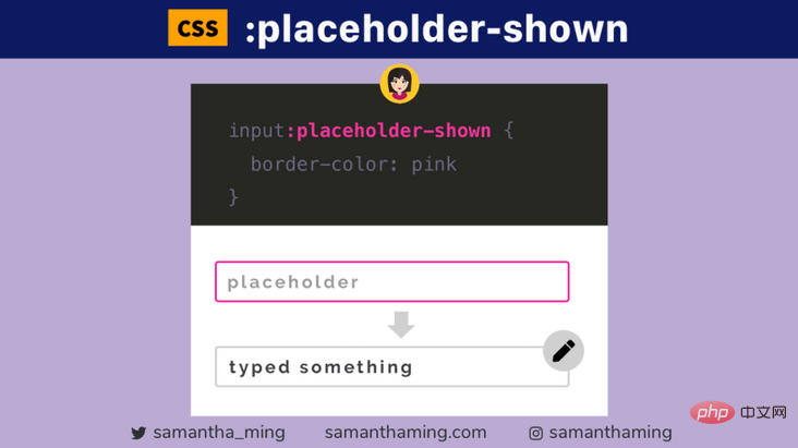 CSS中什么是:placeholder-shown？如何工作？有什么用？-偶像资源网