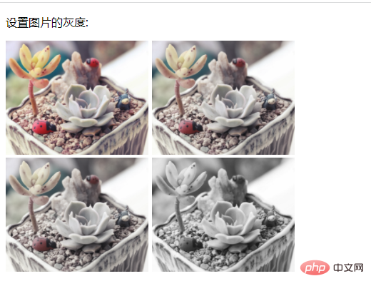 怎么用css样式把图片改为灰色-偶像资源网