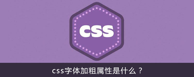 css字体加粗属性是什么？-偶像资源网