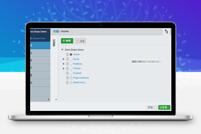 【编号245】内容管理系统
