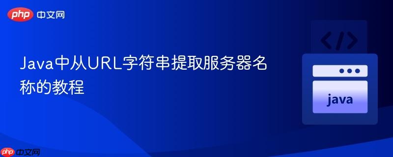 Java中从URL字符串提取服务器名称的教程
