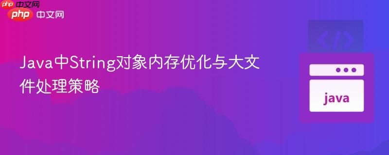 Java中String对象内存优化与大文件处理策略