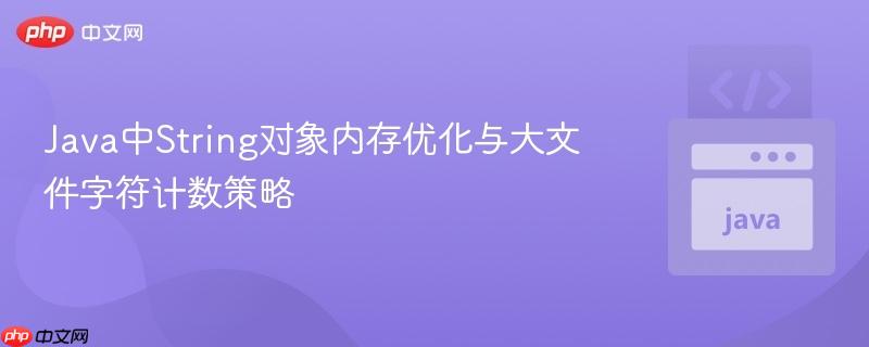 Java中String对象内存优化与大文件字符计数策略