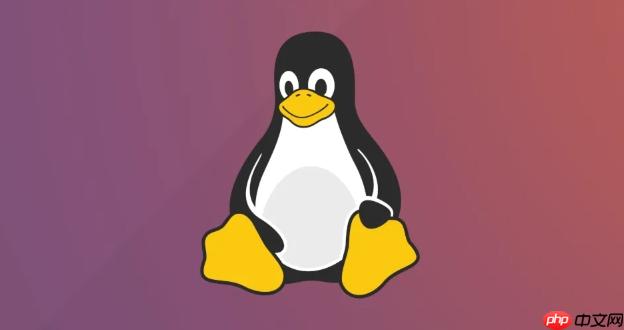 Linux SSH授权密钥与权限设置