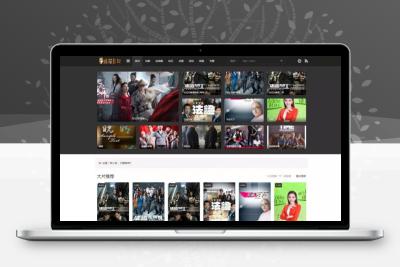 【编号486】小屏精致灰色风格苹果CMSv10主题模板