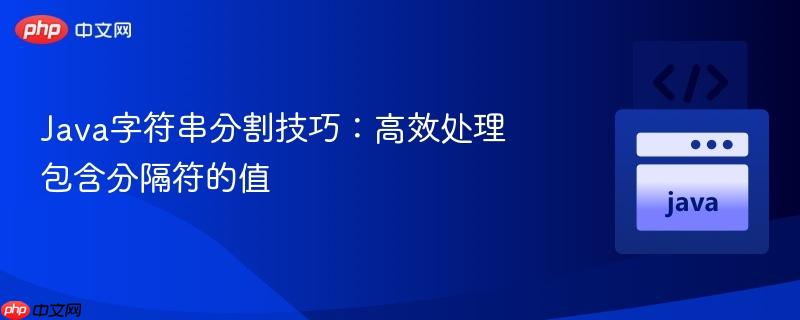 Java字符串分割技巧：高效处理包含分隔符的值