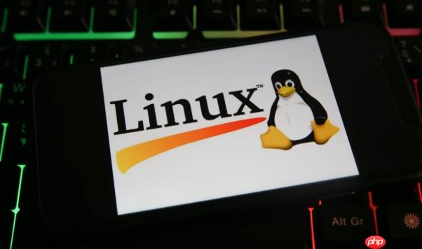 Linux如何配置RAID阵列_LinuxRAID阵列配置的详细步骤