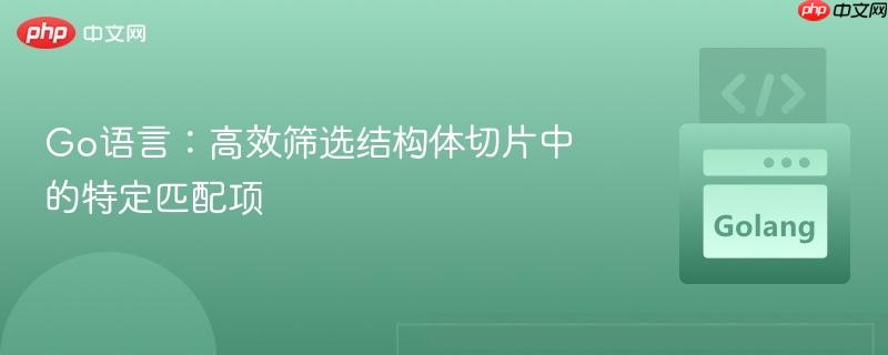Go语言：高效筛选结构体切片中的特定匹配项