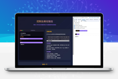 美观的控制台美化输出源码
