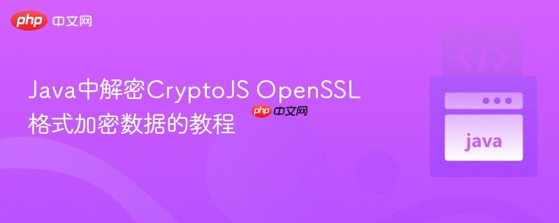 176215819441851 Java中解密CryptoJS OpenSSL格式加密数据的教程