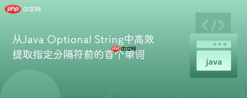 176215171364244 从Java Optional String中高效提取指定分隔符前的首个单词