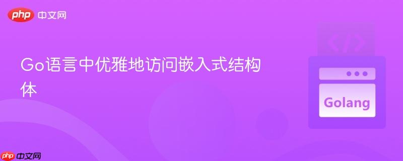 176215506480624 Go语言中优雅地访问嵌入式结构体