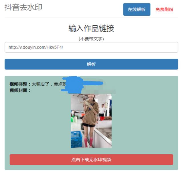 抖音在线去水印网站PHP源码