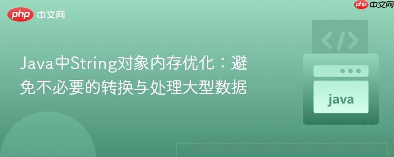 176214540560048 Java中String对象内存优化:避免不必要的转换与处理大型数据