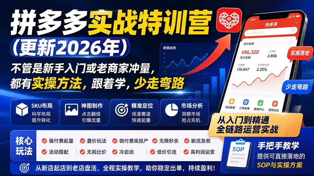 拼多多实战特训营(更新26年0821 拼多多实战特训营(更新26年0821