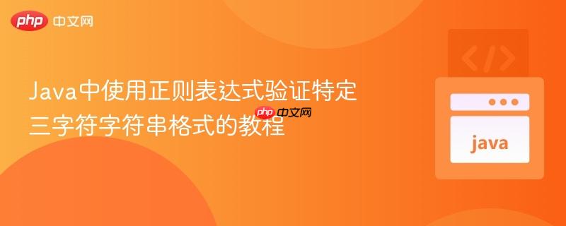 176215188541971 Java中使用正则表达式验证特定三字符字符串格式的教程