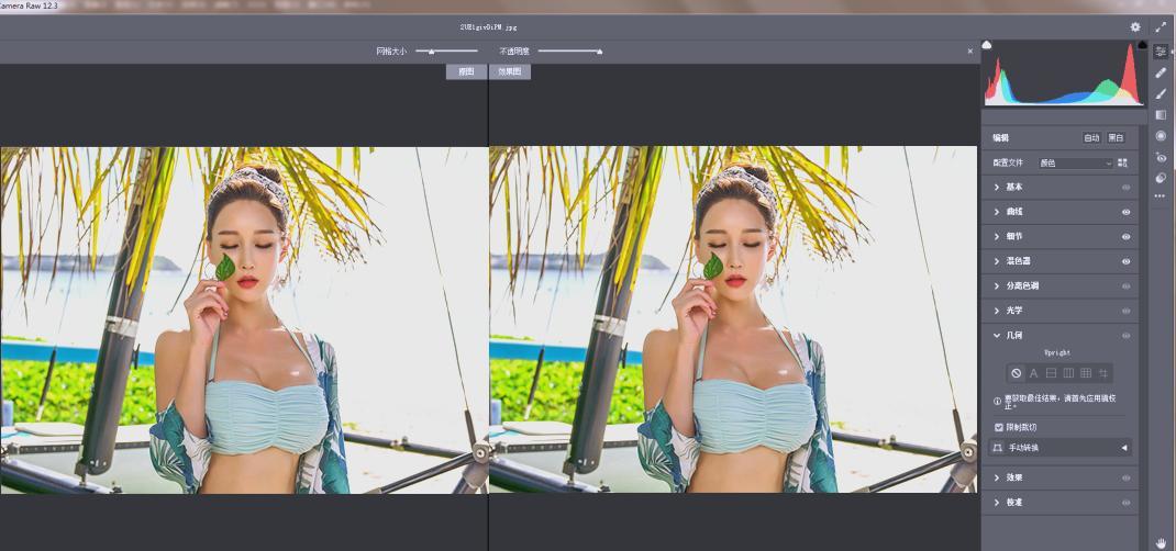 RAW处理Adobe Camera Raw v18.3.1中文版