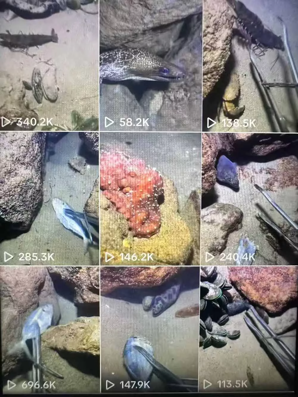 Tiktok中视频解说教程,体育+温情文案双赛道实操教程一站式带你落地 Tiktok中视频解说教程,体育+温情文案双赛道实操教程一站式带你落地